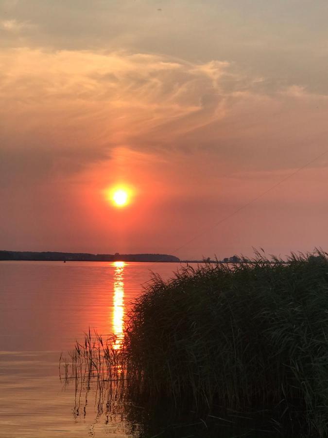 Ferienwohnung Goa auf Usedom Ostseebad Ostseebad Zinnowitz Exterior foto